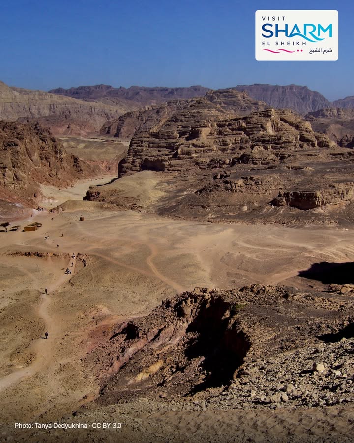 🇮🇹 Dove cambia il paesaggio
Lascia per un momento il blu: il deserto del Sinai apre un altro capitolo del viaggio. Nelle nostre guide trovi spunti per scegliere l’esperienza.
Dal l