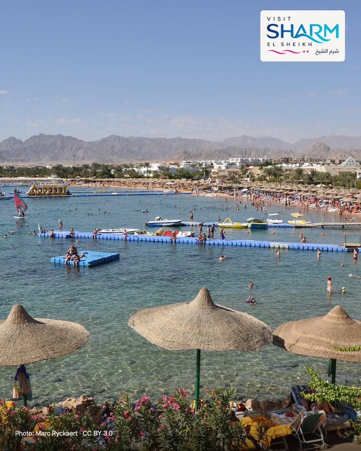 🇮🇹 La tua giornata sul mare
Una baia, il mare e la voglia di rallentare. Prima di scegliere la spiaggia della tua vacanza, verifica accesso, servizi e distanza dall’hotel.
Scopri l