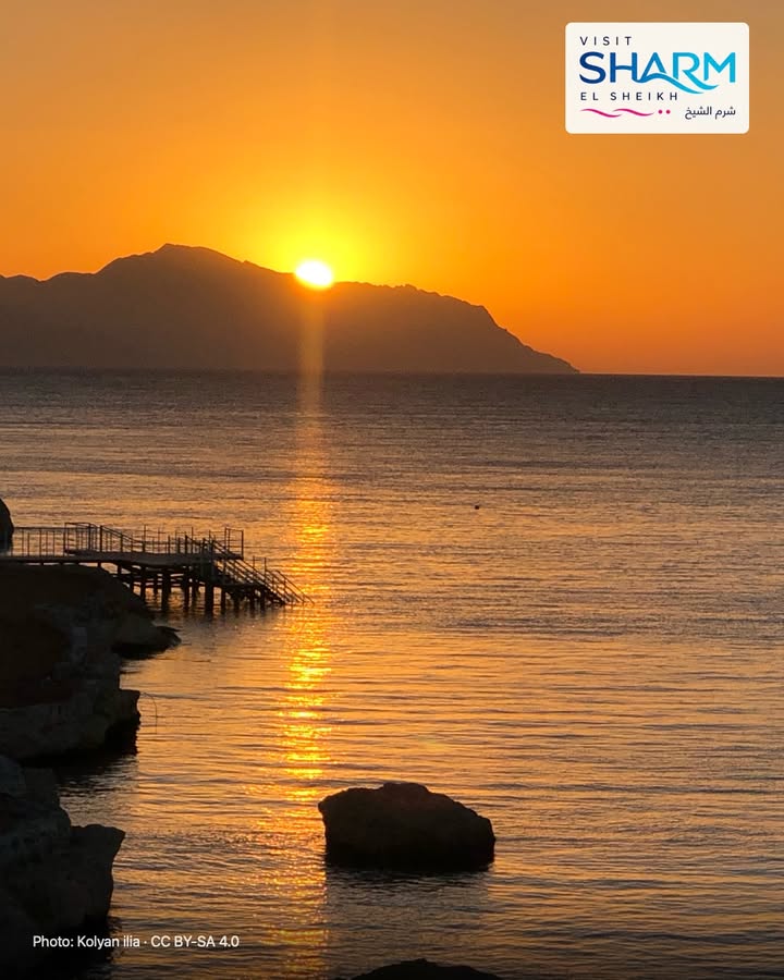 🇮🇹 Il giorno comincia qui
La luce del mattino cambia il volto del mare. A volte il programma migliore è svegliarsi con calma e concedersi qualche minuto davanti all’orizzonte.
Scop