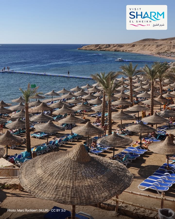 🇮🇹 Tempo per il mare
Una vacanza riuscita parte dal ritmo giusto: lascia spazio a una mattina sul mare e a un pomeriggio senza programmi. Il resto può aspettare.
Scopri le guide di