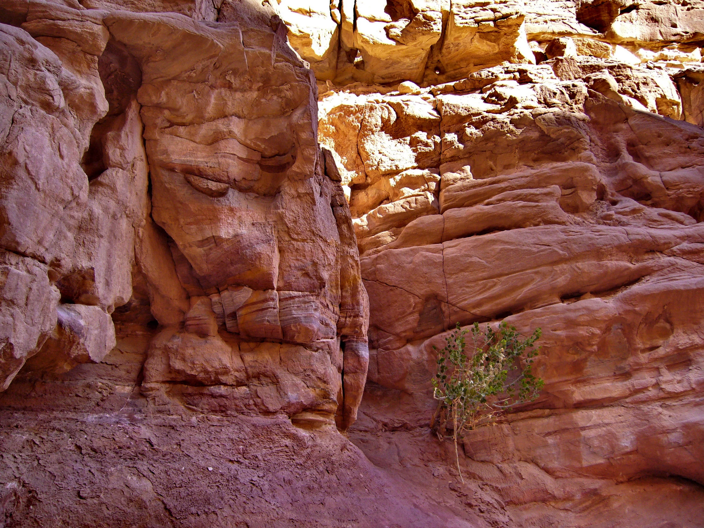 Rock formations in the Coloured Canyon, Sinai