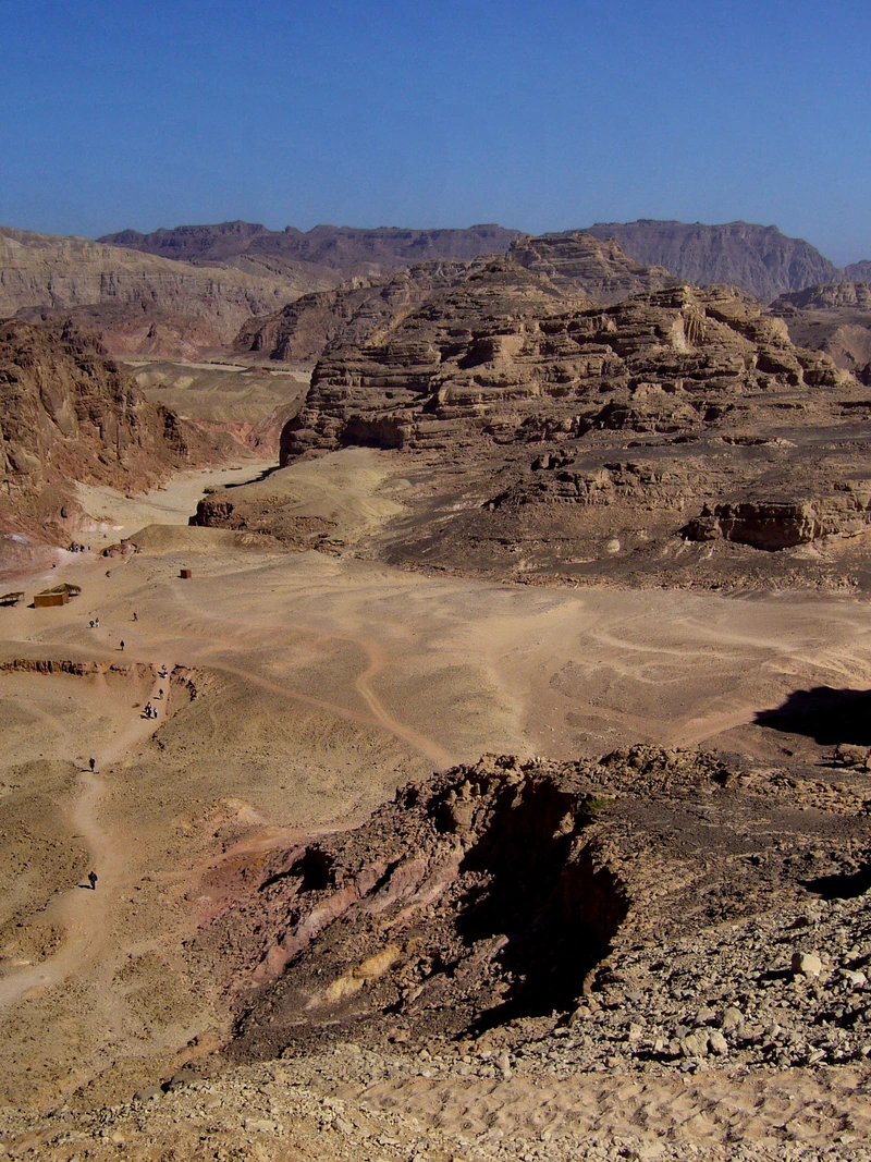 Desert & Sinai