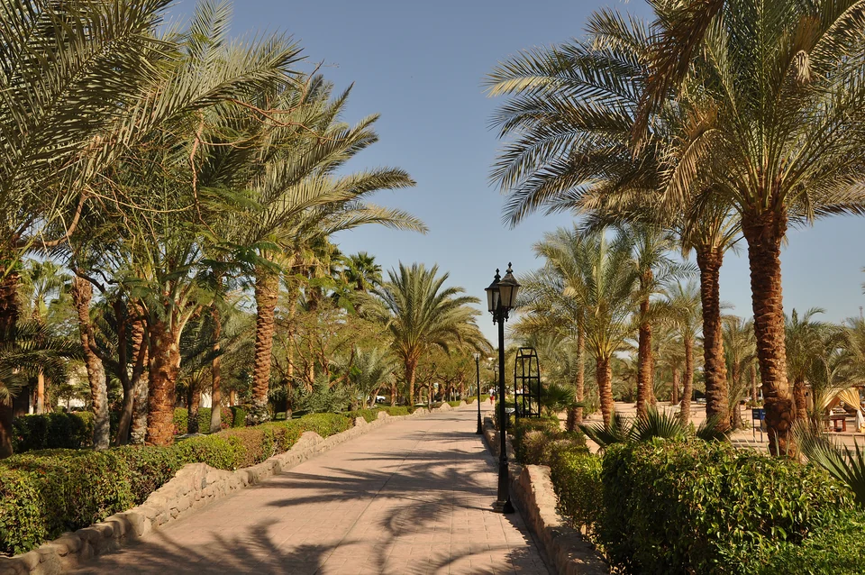 Palm-lined promenade in Naama Bay, Sharm El Sheikh