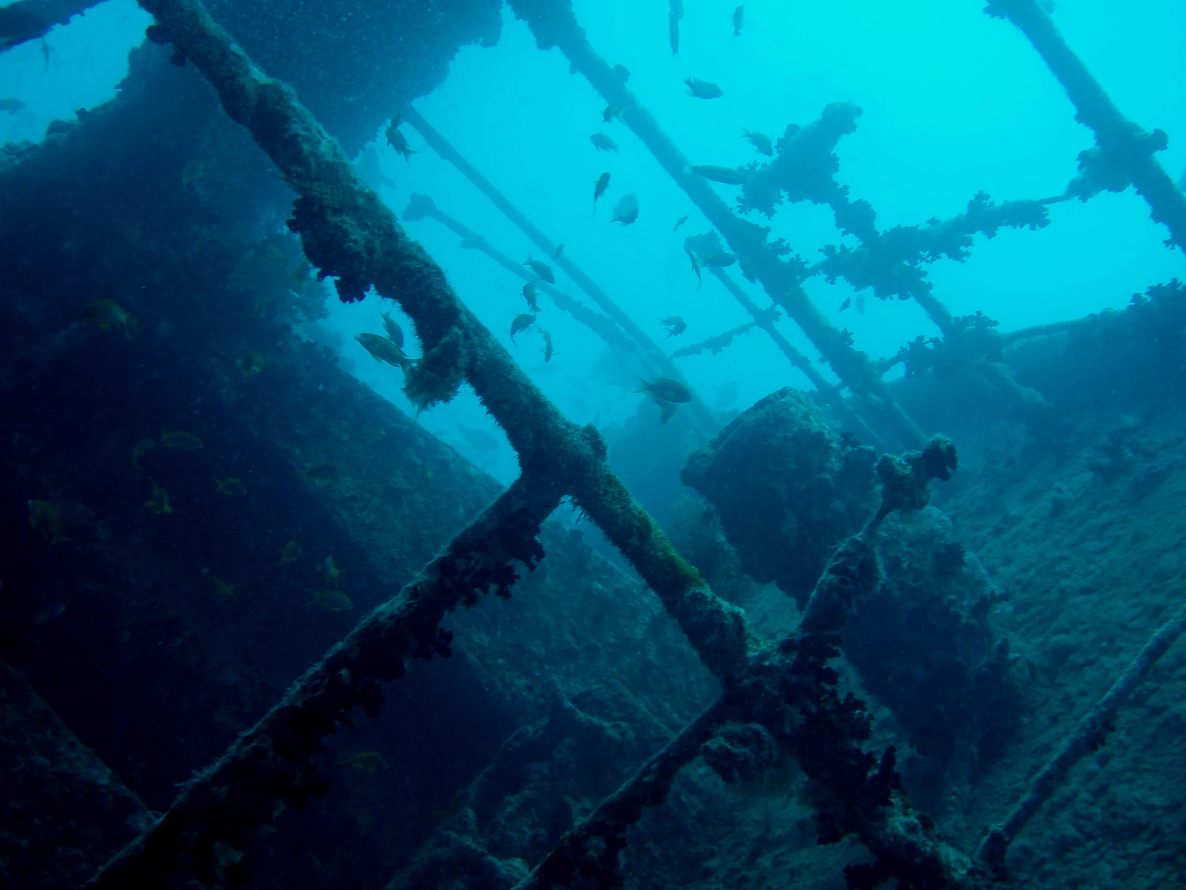 Underwater view of the Thistlegorm wreck
