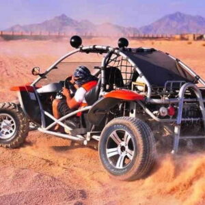 Buggy Safari + Bedouin Experience