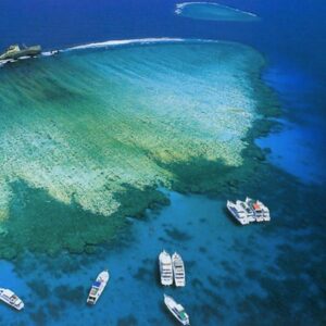 Tiran Island – Snorkeling & Intro Dive - Special